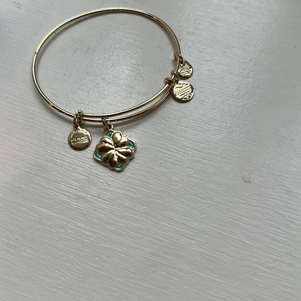 Alex and Ani “Sweet Serendipity “. NWOT